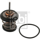 Thermostat, Kühlmittel | 34782