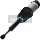 LUFTFEDERBEIN MM-AS196