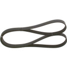 1 987 946 241 Keilrippenriemen