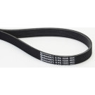 CONTINENTAL CTAM Keilrippenriemen 6PK1555