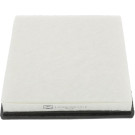 CHAMPION Luftfilter CAF100875P