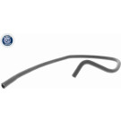 VAICO Kühlerschlauch