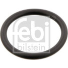 Dichtring, Kühlmittelrohrleitu | 29752