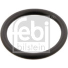 Dichtring, Kühlmittelrohrleitu | 29752