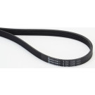 Keilrippenriemen | 5PK1245