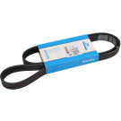 Keilrippenriemen 6Pk1300