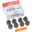 19025682 Dichtungssatz, Ventilschaft