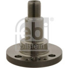 Achszapfen, Achskörper | 30501 Achszapfen, Achskörper | 30501