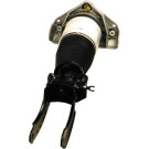 11-0787 Luftfederbein