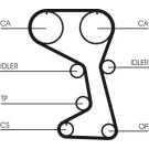 Continental CTAM Zahnriemen CT712