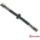 BREMBO Bremsschlauch | T 85 029