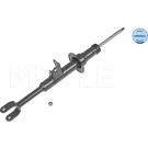 Stoßdämpfer | 3266250003