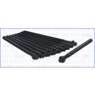 Zylinderkopfschraubensatz | 81053400