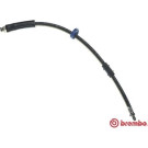 BREMBO Bremsschlauch | T 61 031