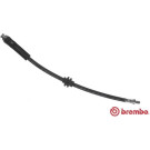 BREMBO Bremsschlauch