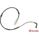 BREMBO Warnkontakt, Bremsbelagverschleiß