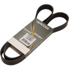 Keilrippenriemen 7Pk1338Hd