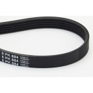 Keilrippenriemen 5Pk884
