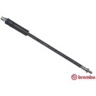 BREMBO Bremsschlauch | T 06 001