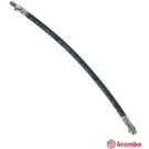 BREMBO Bremsschlauch | T 68 012
