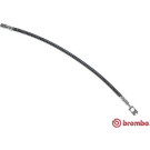 BREMBO Bremsschlauch | T 85 132