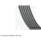BluePrint Rillenriemen AD06R1212