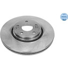 Bremsscheibe Renault P. Laguna | 16-15 521 0015