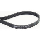 CONTINENTAL CTAM Keilrippenriemen 5PK1515