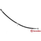 BREMBO Bremsschlauch