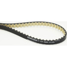 Zahnriemen | CT1238