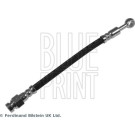 BluePrint Bremsschlauch