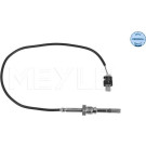 SENSOR, ABGASTEMPERATUR | 0148000156