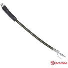 BREMBO Bremsschlauch | T 24 146