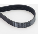 Keilrippenriemen 8PK1122 EXTRA