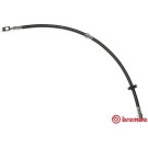 BREMBO Bremsschlauch | T 85 150
