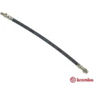 BREMBO Bremsschlauch | T 68 057