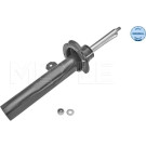 Stoßdämpfer | 3266230071