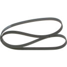 1 987 945 728 Keilrippenriemen