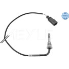 SENSOR, ABGASTEMPERATUR | 1148000286