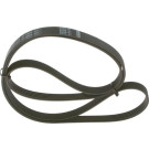 1 987 948 482 Keilrippenriemen