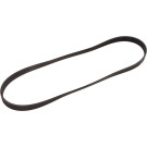 1 987 946 062 Keilrippenriemen