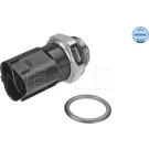 Temperaturschalter | SEAT,SKODA,VW | 1009590016