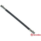 BREMBO Bremsschlauch | T 83 129