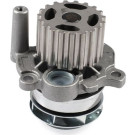 HEPU Wasserpumpe P550