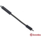 BREMBO Bremsschlauch | T 06 049