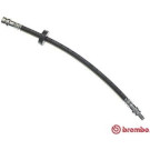 BREMBO Bremsschlauch | T 24 046