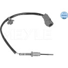 SENSOR, ABGASTEMPERATUR | 36-148000004