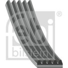 FEBI BILSTEIN Rillenriemen | 28873