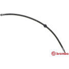 BREMBO Bremsschlauch