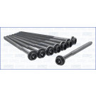 Zylinderkopfschraubensatz | 81036100